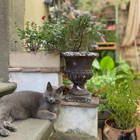 La Magione Dei Todaro Borgo a Buggiano Bagian luar foto